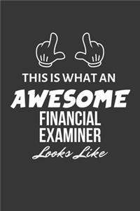 This Is What An Awesome Financial Examiner Looks Like Notebook