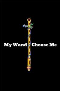 My Wand Choose Me.