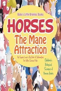 Horses, the Mane Attraction