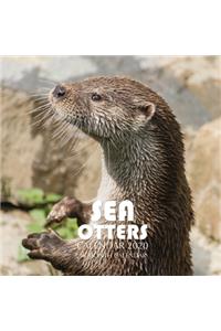 Sea Otters Calendar 2020