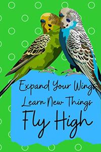 Expand Your Wings Learn New Things Fly High