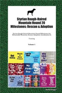 Styrian Rough-Haired Mountain Hound 20 Milestones
