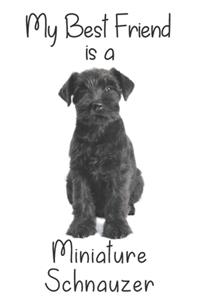 My best Friend is a Miniature Schnauzer