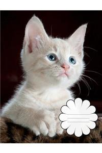 Baby Kitten Composition Book