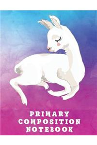 Primary Composition Notebook
