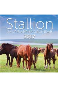 Stallion