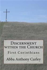 Discernment within the Church