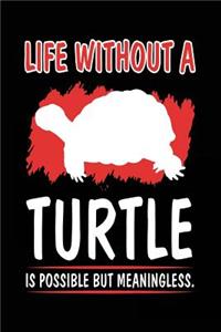 Life Without A Turtle Is Possible But Meaningless.