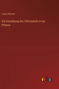 Entstehung des Chlorophylls in der Pflanze