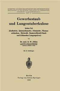 Gewerbestaub Und Lungentuberkulose: Dritter Teil: (Kalkstein-, Quarzschamotte-, Schamotte-, Thomasschlacken-, Bleiweiß-, Baumwolltextil-Staub Und Kühnsches Lungenpulver)