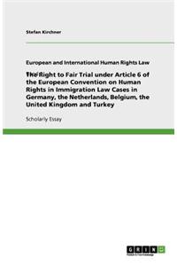 Right to Fair Trial under Article 6 of the European Convention on Human Rights in Immigration Law Cases in Germany, the Netherlands, Belgium, the United Kingdom and Turkey