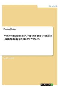 Wie formieren sich Gruppen und wie kann Teambildung gefördert werden?