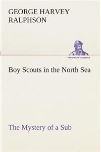 Boy Scouts in the North Sea The Mystery of a Sub