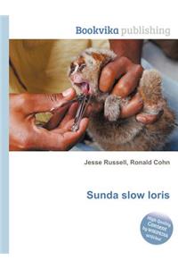 Sunda Slow Loris