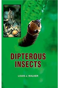 Dipterous Insects