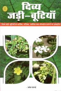Divya Jadibutiyan [Paperback] Umesh Pandey