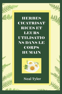 Herbes Cicatrisatrices Et Leurs Utilisations Dans Le Corps Humain