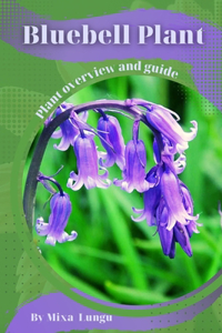 Bluebell Plant