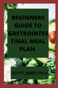 Beginners Guide To Gastrointestinal Meal Plan