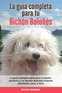 La Guía Completa Para Tu Bichón Boloñés