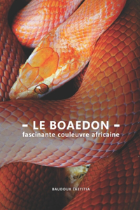 Boaedon, Fascinante couleuvre africaine
