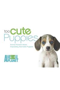 Too Cute Puppies