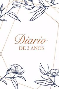 Diário de 3 anos