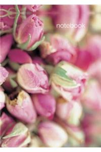 Notebook: Rosebuds