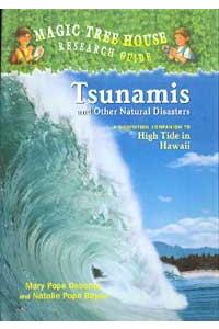 Tsunamis and Other Natural Disasters