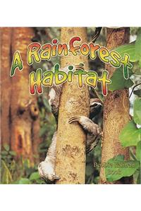 A Rainforest Habitat