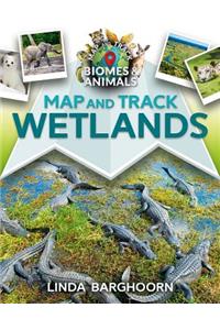 Map and Track Wetlands