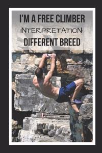 I'm A Free Climber. Interpretation