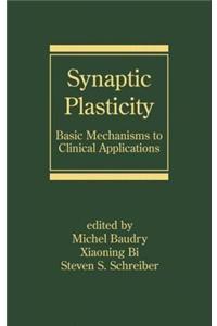 Synaptic Plasticity