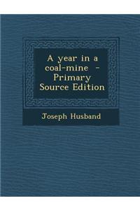 A Year in a Coal-Mine - Primary Source Edition