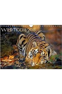 Wild Tigers 2018 2018