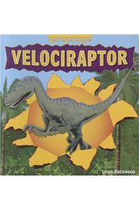 Velociraptor