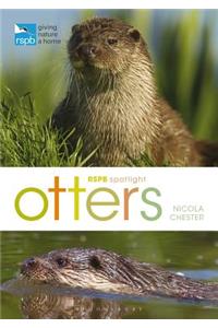 Rspb Spotlight: Otters