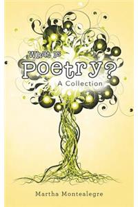 What Is Poetry?