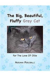 The Big, Beautiful, Fluffy Gray Cat