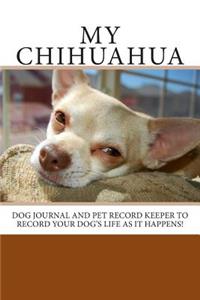 My Chihuahua