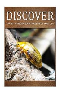 Super Strong and Powerful Insects - Discover