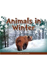 Animals in Winter