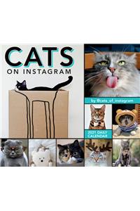 2021 Cats on Instagram Boxed Daily Calendar