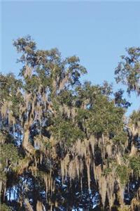 The Swamp Tree Moss Journal