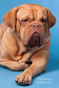 Password Notebook: Small Internet Address and Password Logbook / Journal / Diary - French Mastiff Cover