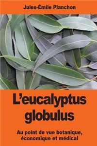 L'eucalyptus globulus