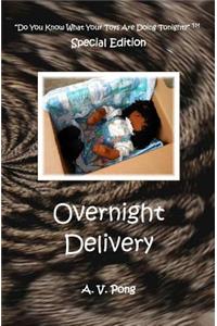 Overnight Delivery