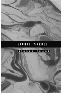 Secret Marble: Dark Marble Password Notebook Help You Conceal and Protect Your Password Information