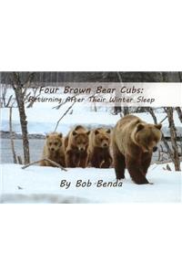 Four Brown Bear Cubs