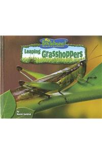Leaping Grasshoppers
